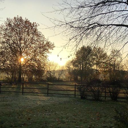 Villa Am Huelser Berg Naehe Duesseldorf Krefeld Dış mekan fotoğraf