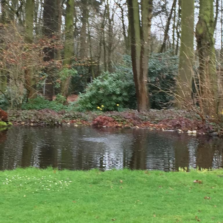 Villa Am Huelser Berg Naehe Duesseldorf Krefeld Dış mekan fotoğraf