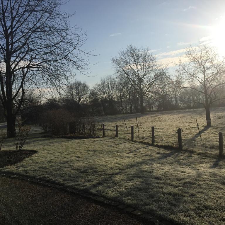 Villa Am Huelser Berg Naehe Duesseldorf Krefeld Dış mekan fotoğraf